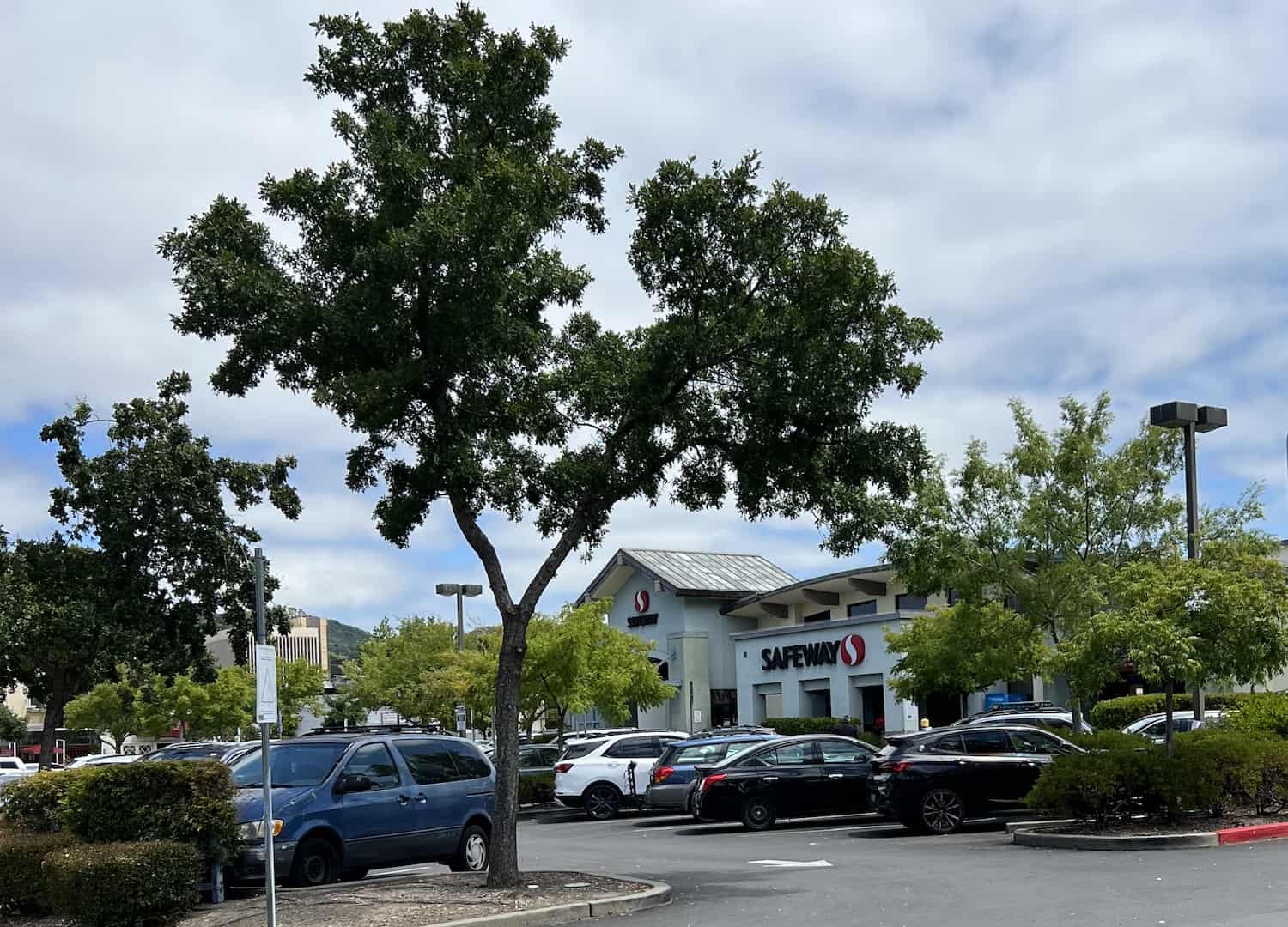 safeway_san_rafael_101_bayview_st